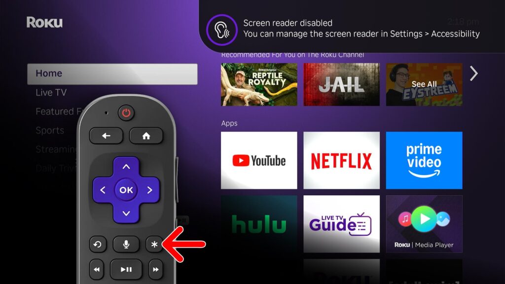 How to Turn Off Screen Reader with Your Roku Remote