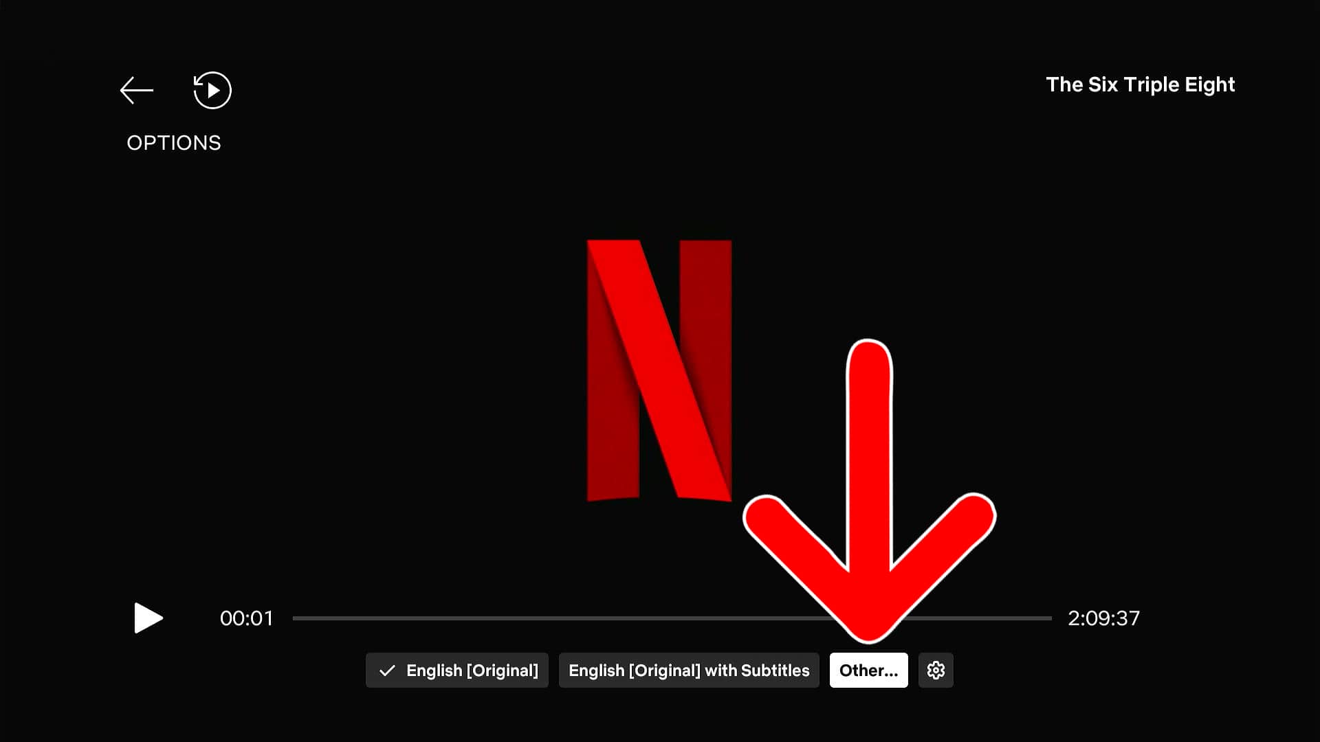 How to Change Audio & Subtitle Language on Netflix