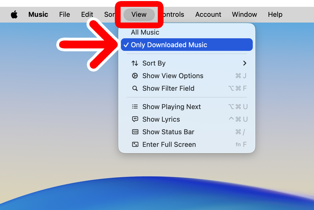 How to Free Up Space on a Mac